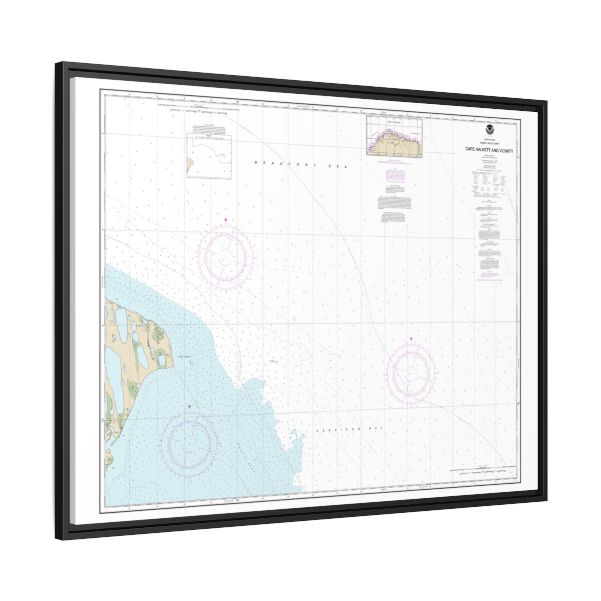 Chart 16065 Cape Halkett and vicinity - NOAA Nautical Chart Floating Frame Canvas | 32" x 24" | 40" x 30" - Black side