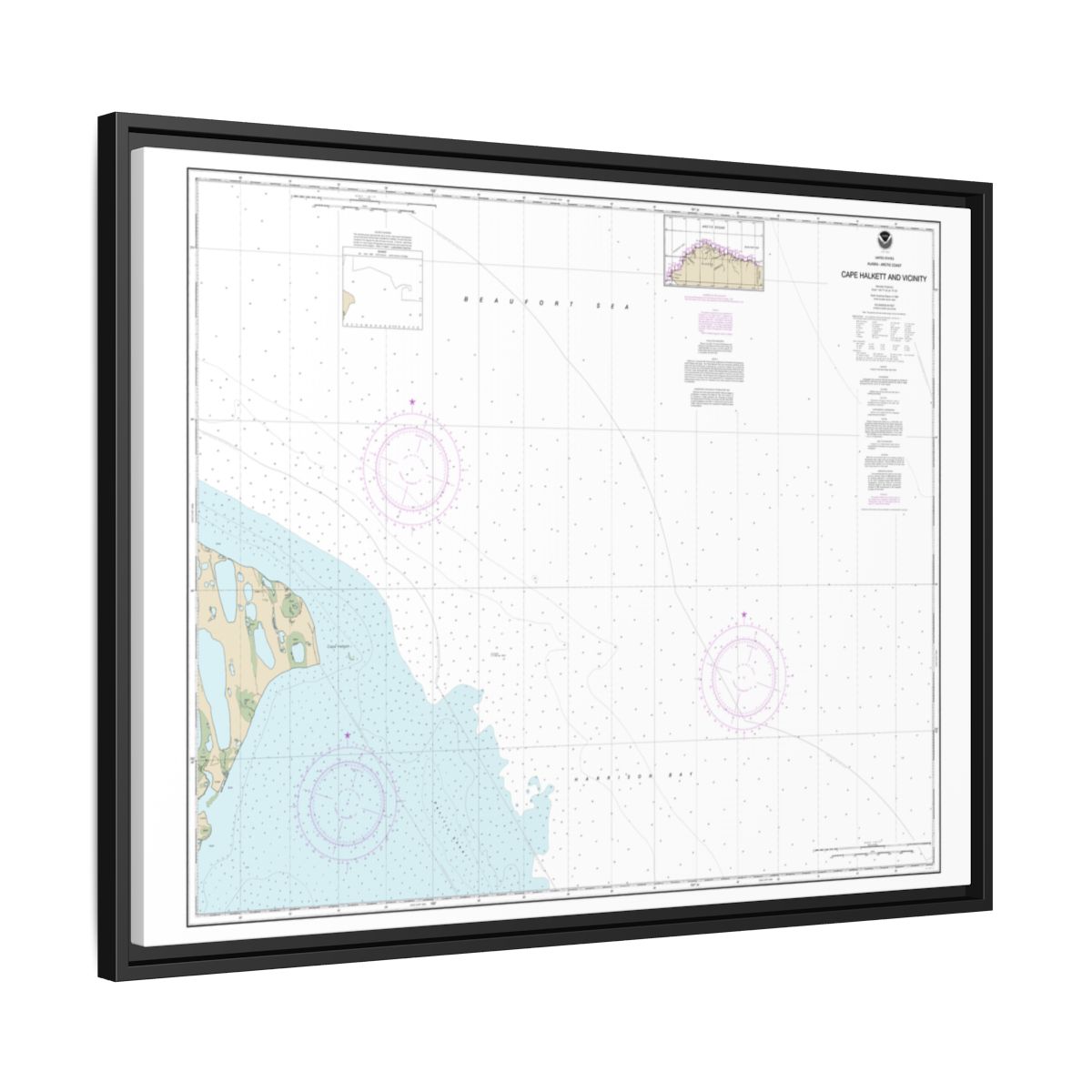 Chart 16065 Cape Halkett and vicinity - NOAA Nautical Chart Floating Frame Canvas | 32" x 24" | 40" x 30" - Black side