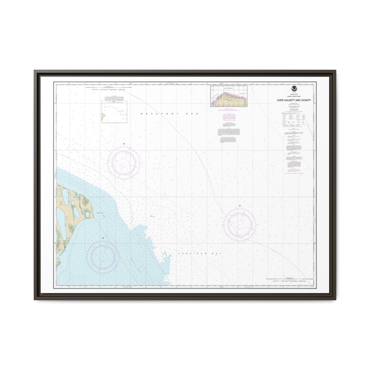 Chart 16065 Cape Halkett and vicinity - NOAA Nautical Chart Floating Frame Canvas | 32" x 24" | 40" x 30" - Espresso front