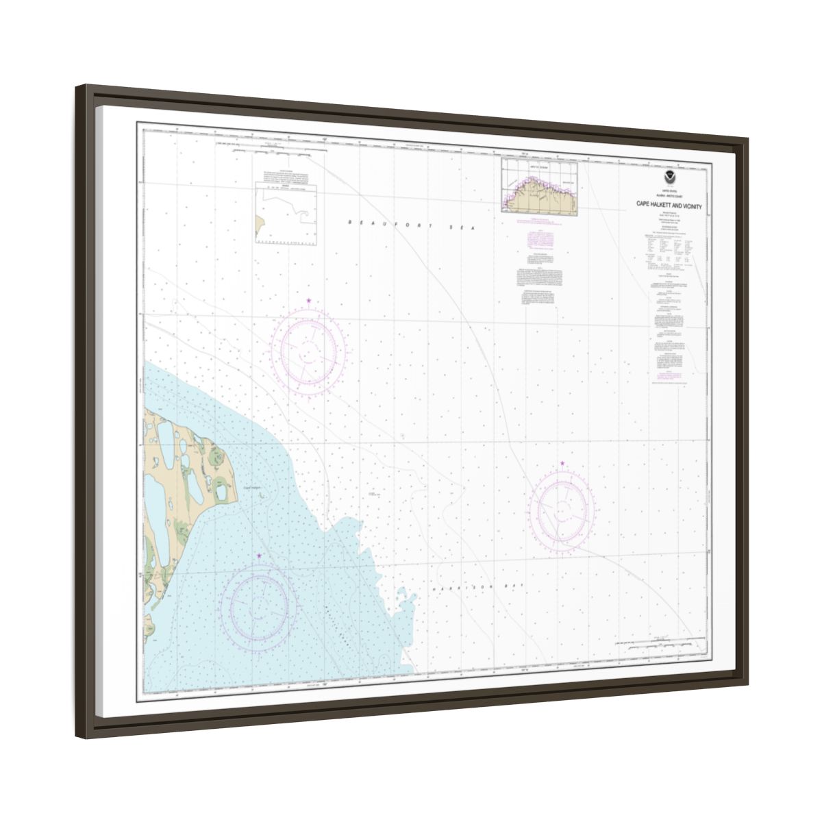 Chart 16065 Cape Halkett and vicinity - NOAA Nautical Chart Floating Frame Canvas | 32" x 24" | 40" x 30" - Espresso side
