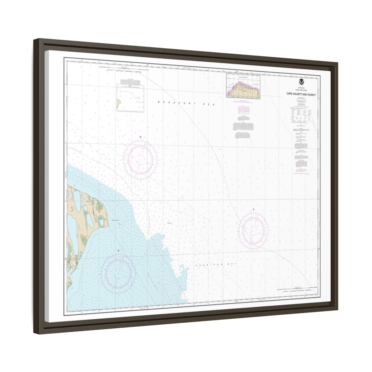 Chart 16065 Cape Halkett and vicinity - NOAA Nautical Chart Floating Frame Canvas | 32" x 24" | 40" x 30" - Espresso side