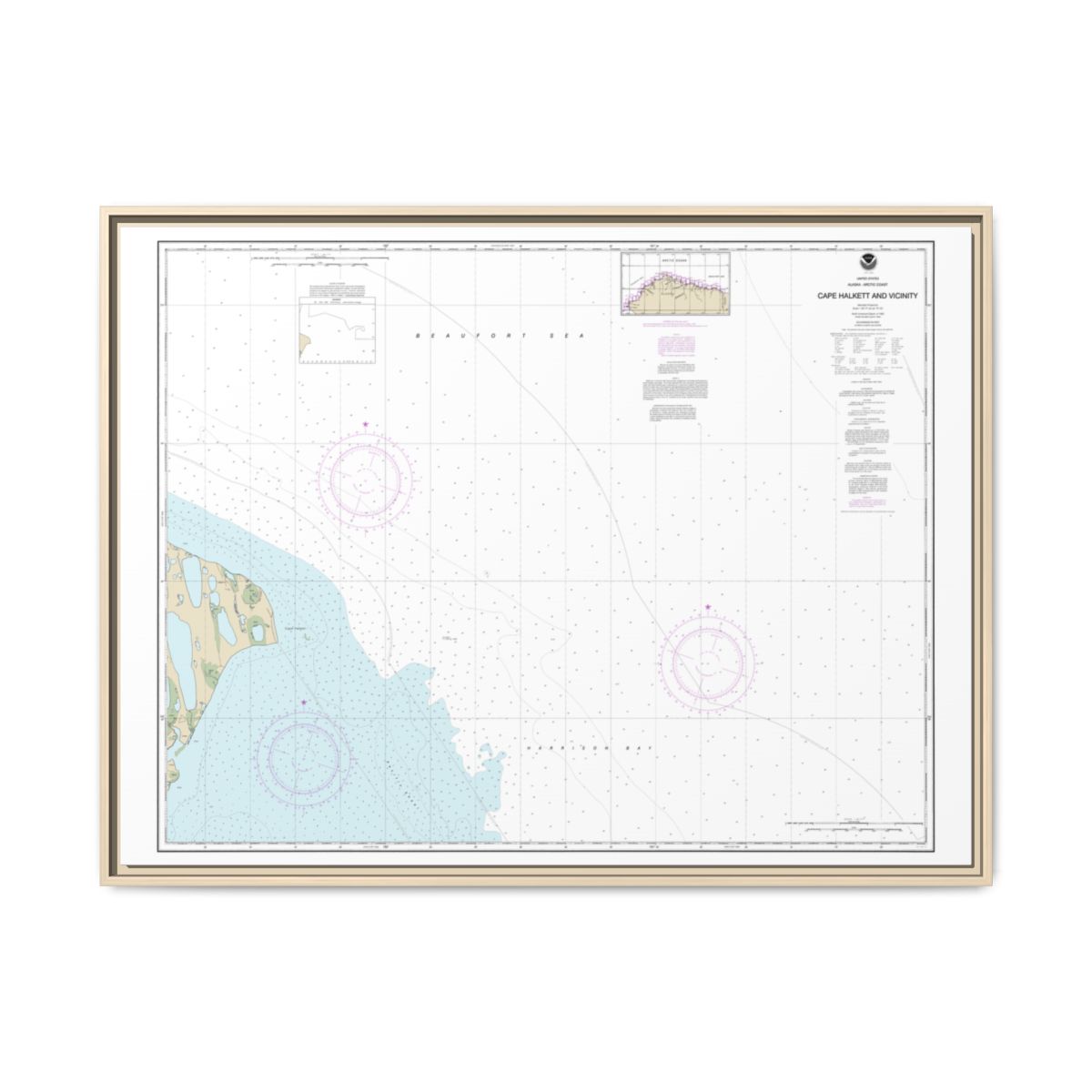 Chart 16065 Cape Halkett and vicinity - NOAA Nautical Chart Floating Frame Canvas | 32" x 24" | 40" x 30" - Natural front