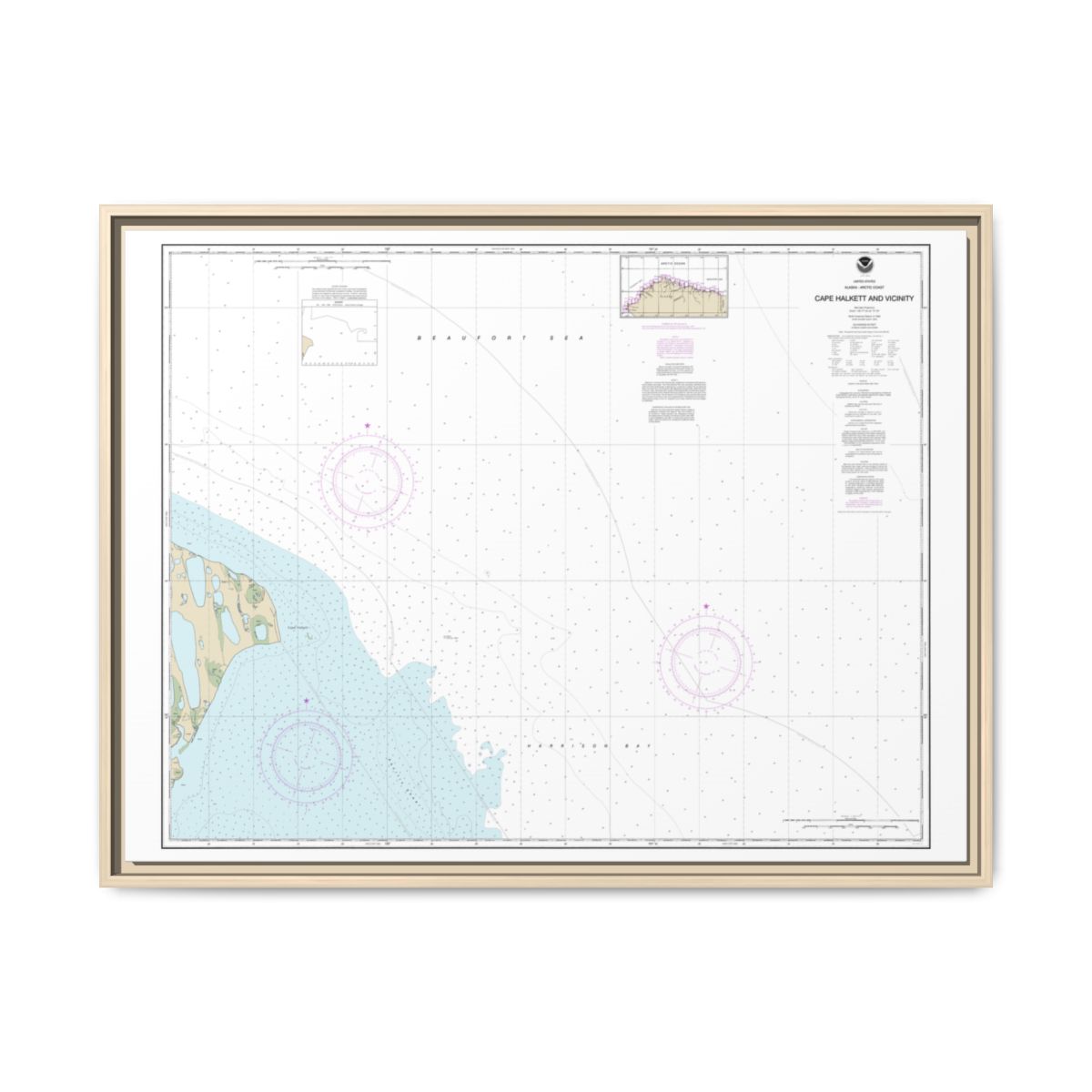 Chart 16065 Cape Halkett and vicinity - NOAA Nautical Chart Floating Frame Canvas | 32" x 24" | 40" x 30" - Natural front