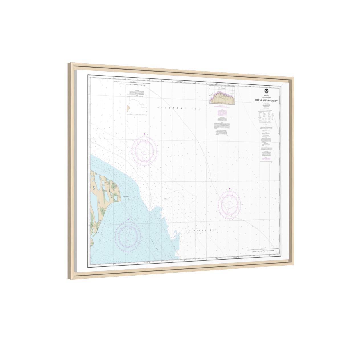 Chart 16065 Cape Halkett and vicinity - NOAA Nautical Chart Floating Frame Canvas | 32" x 24" | 40" x 30" - Natural side
