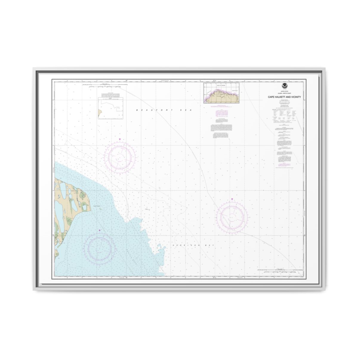 Chart 16065 Cape Halkett and vicinity - NOAA Nautical Chart Floating Frame Canvas | 32" x 24" | 40" x 30" - White front