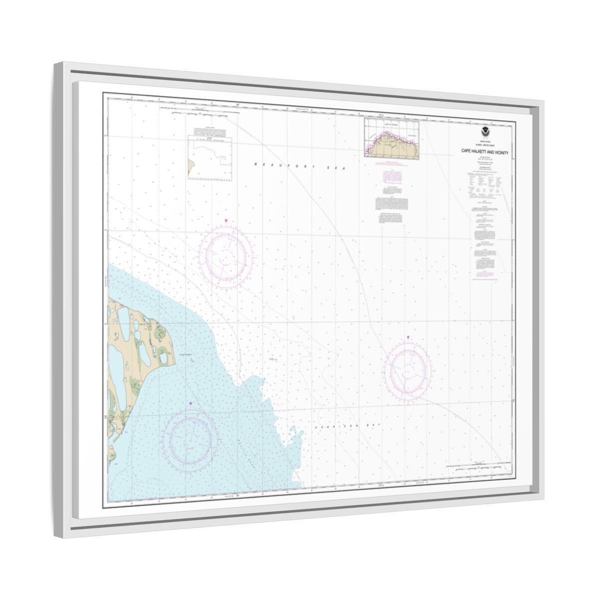 Chart 16065 Cape Halkett and vicinity - NOAA Nautical Chart Floating Frame Canvas | 32" x 24" | 40" x 30" - White side