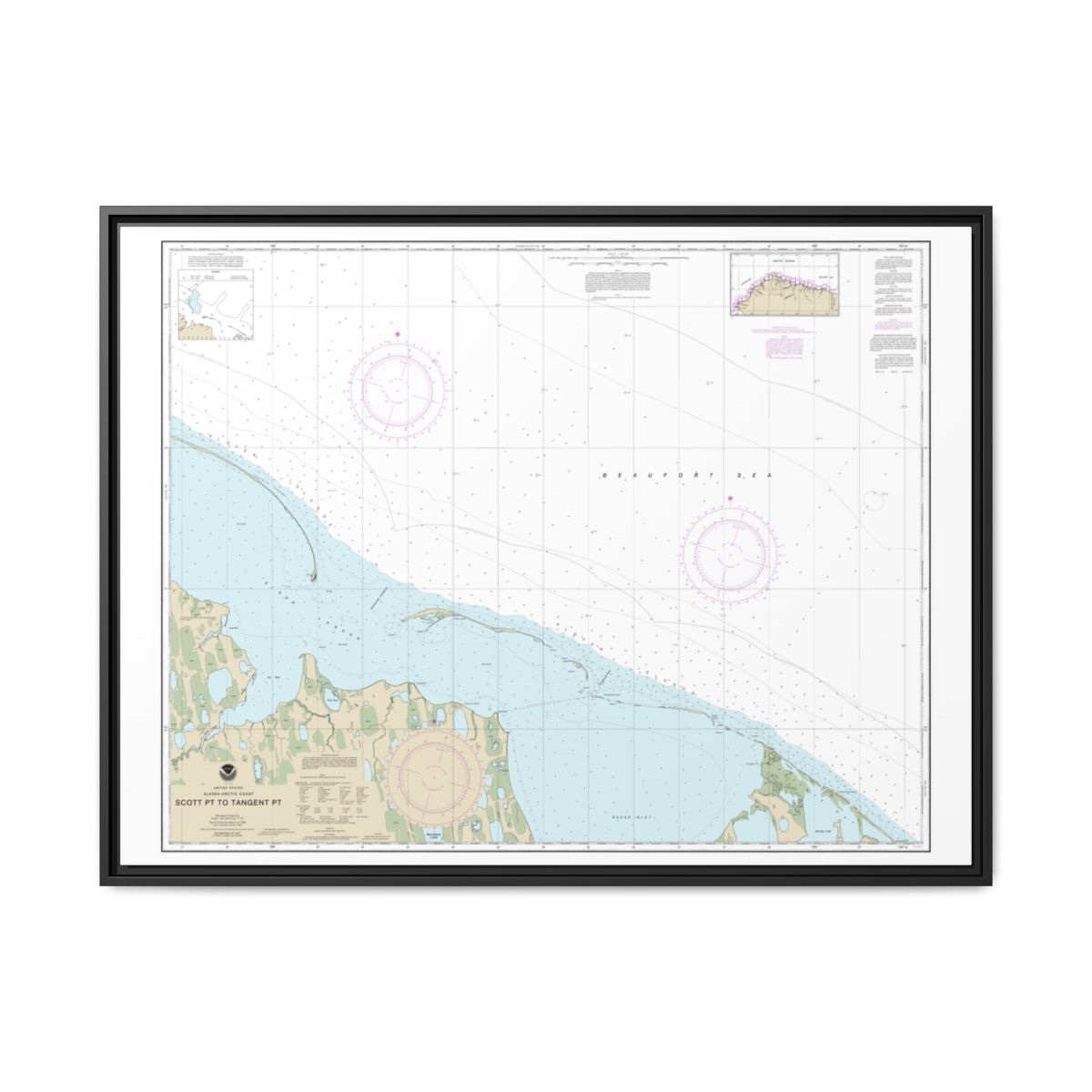 Chart 16081 Scott Pt. to Tangent Pt. - NOAA Nautical Chart Floating Frame Canvas | 32" x 24" | 40" x 30" - Black front