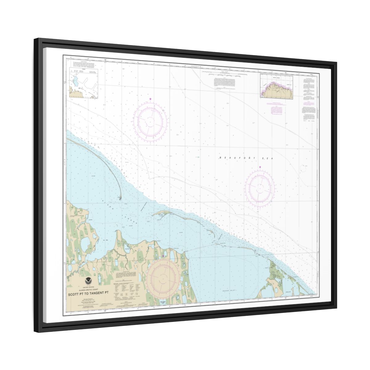 Chart 16081 Scott Pt. to Tangent Pt. - NOAA Nautical Chart Floating Frame Canvas | 32" x 24" | 40" x 30" - Black side