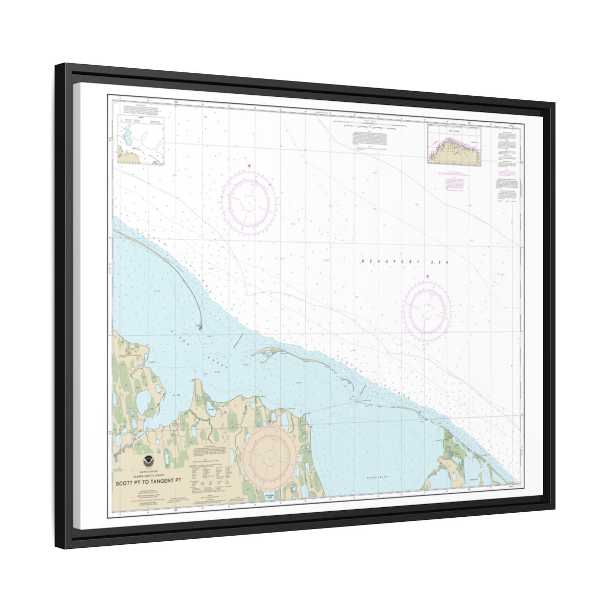 Chart 16081 Scott Pt. to Tangent Pt. - NOAA Nautical Chart Floating Frame Canvas | 32" x 24" | 40" x 30" - Black side