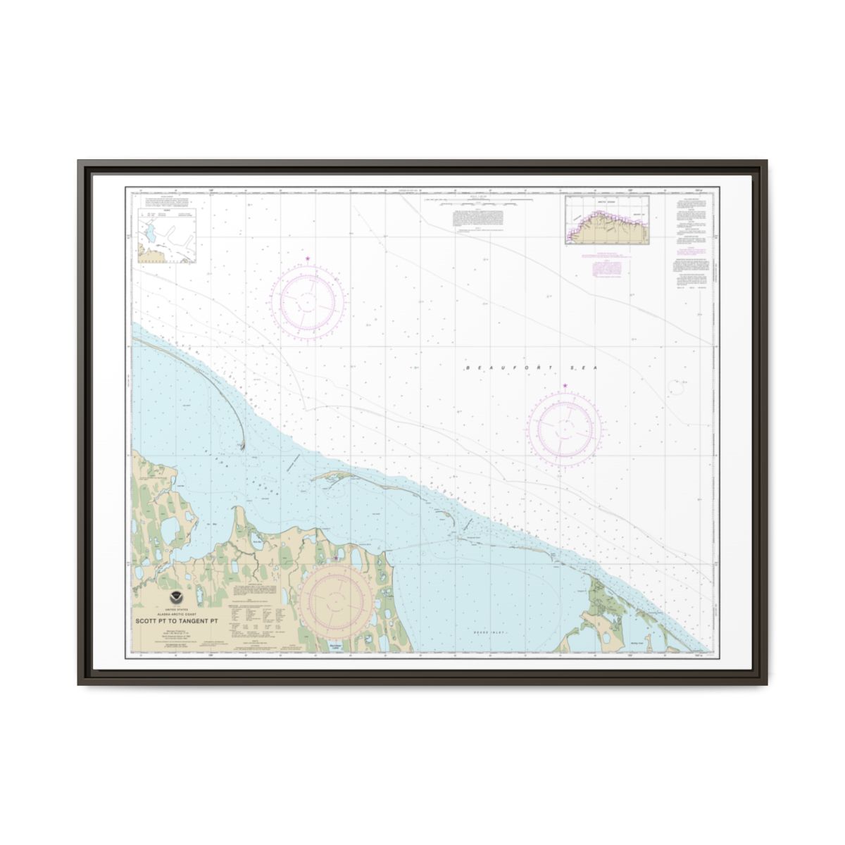 Chart 16081 Scott Pt. to Tangent Pt. - NOAA Nautical Chart Floating Frame Canvas | 32" x 24" | 40" x 30" - Espresso front