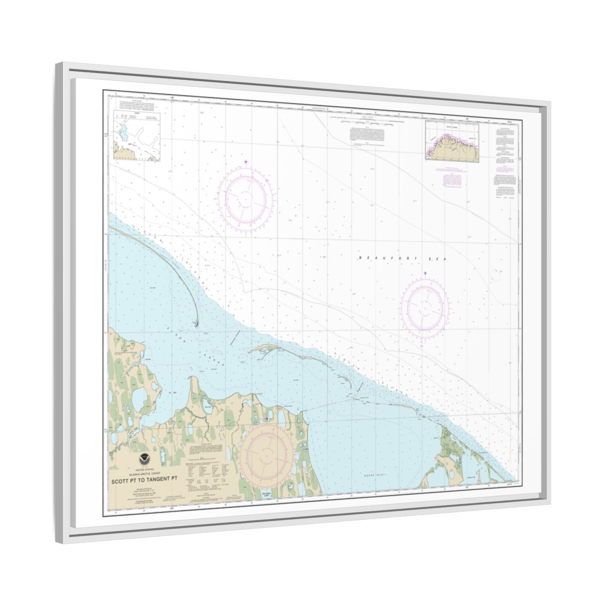 Chart 16081 Scott Pt. to Tangent Pt. - NOAA Nautical Chart Floating Frame Canvas | 32" x 24" | 40" x 30" - White side