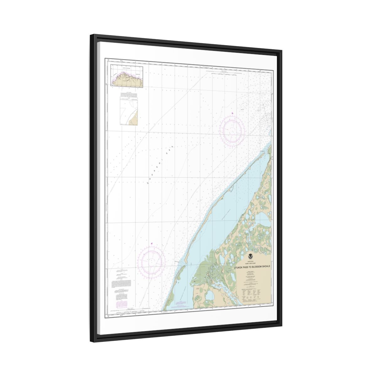 Chart 16088 Utukok Pass to Blossom Shoals - NOAA Nautical Chart Floating Frame Canvas | 24" x 32" | 30" x 40" - Black side