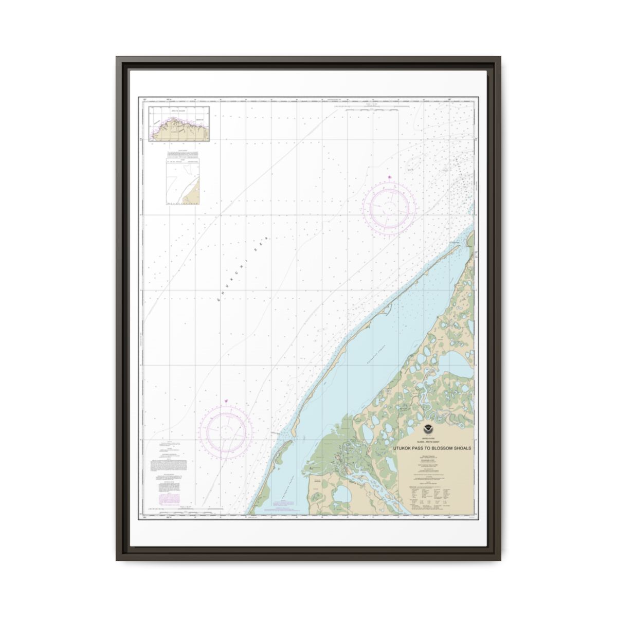 Chart 16088 Utukok Pass to Blossom Shoals - NOAA Nautical Chart Floating Frame Canvas | 24" x 32" | 30" x 40" - Espresso front