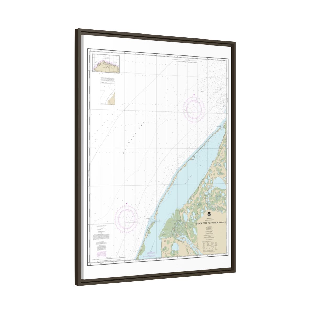 Chart 16088 Utukok Pass to Blossom Shoals - NOAA Nautical Chart Floating Frame Canvas | 24" x 32" | 30" x 40" - Espresso side