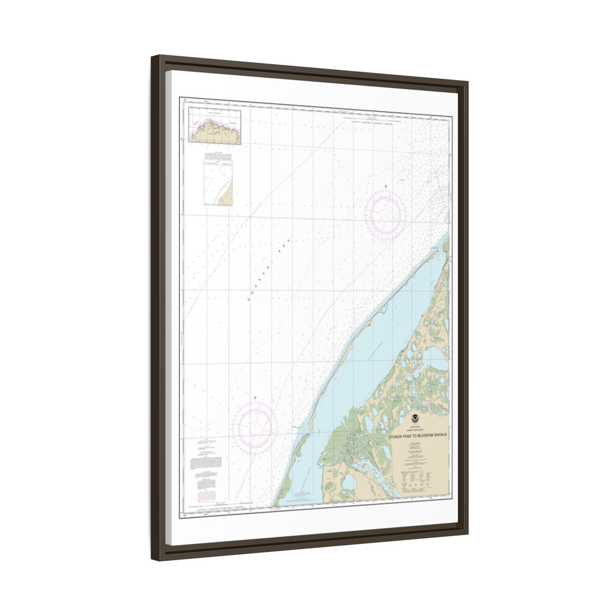 Chart 16088 Utukok Pass to Blossom Shoals - NOAA Nautical Chart Floating Frame Canvas | 24" x 32" | 30" x 40" - Espresso side