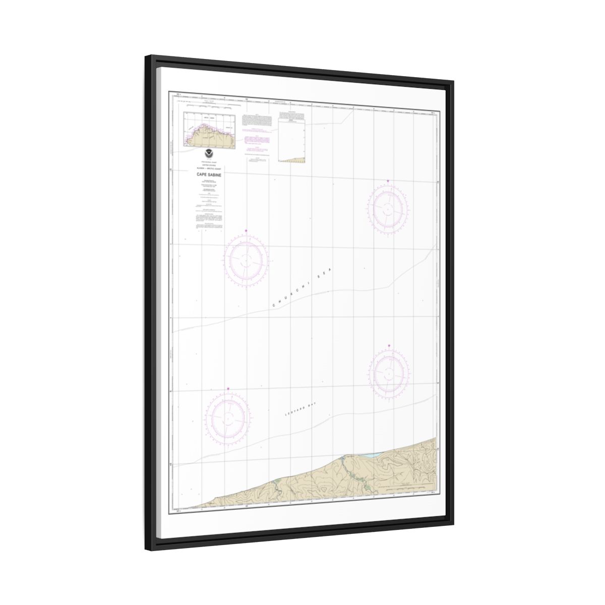 Chart 16104 Cape Sabine - NOAA Nautical Chart Floating Frame Canvas | 24" x 32" | 30" x 40" - Black side