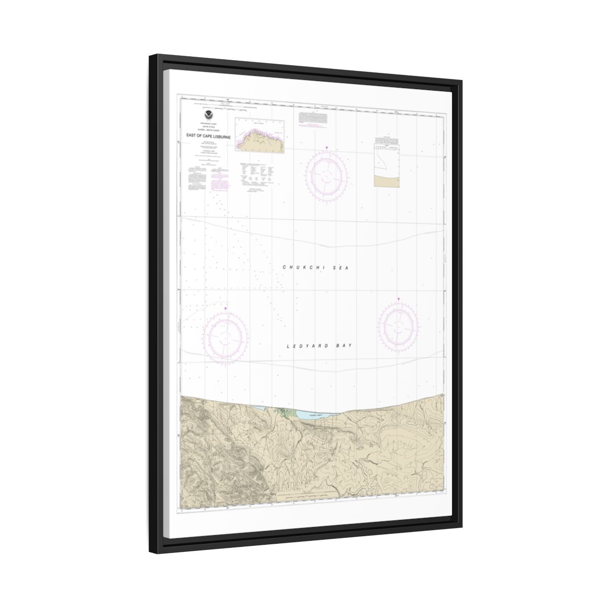 Chart 16121 East of Cape Lisburne - NOAA Nautical Chart Floating Frame Canvas | 24" x 32" | 30" x 40" - Black side