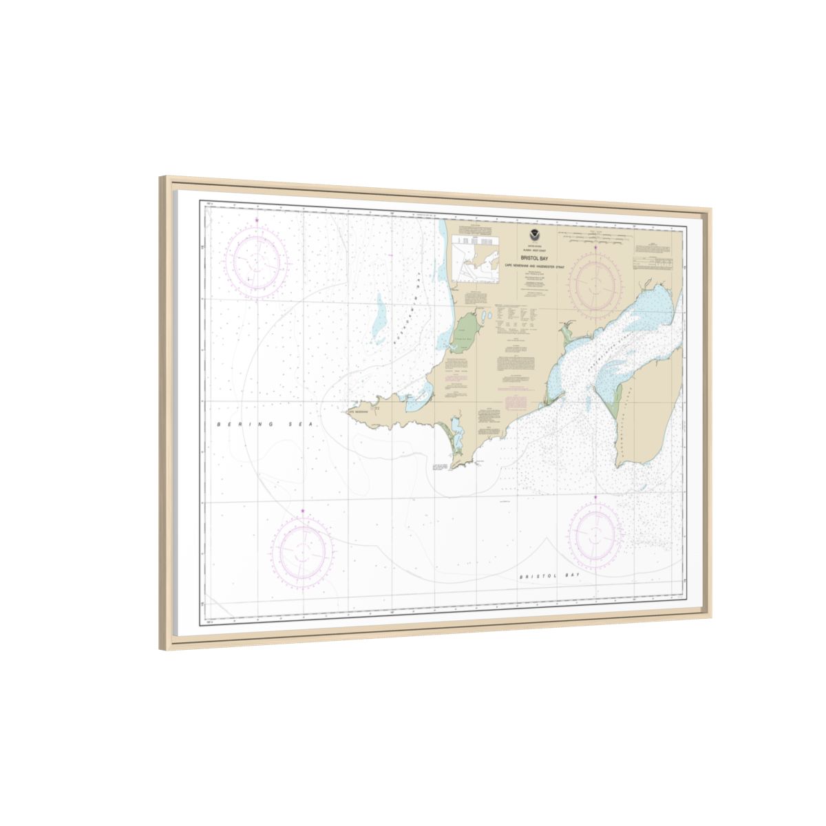 Chart 16305 Bristol Bay-Cape Newenham and Hagemeister Strait - NOAA Nautical Chart Floating Frame Canvas | 30" x 20" | 36" x 24" | 48" x 32" - Natural side