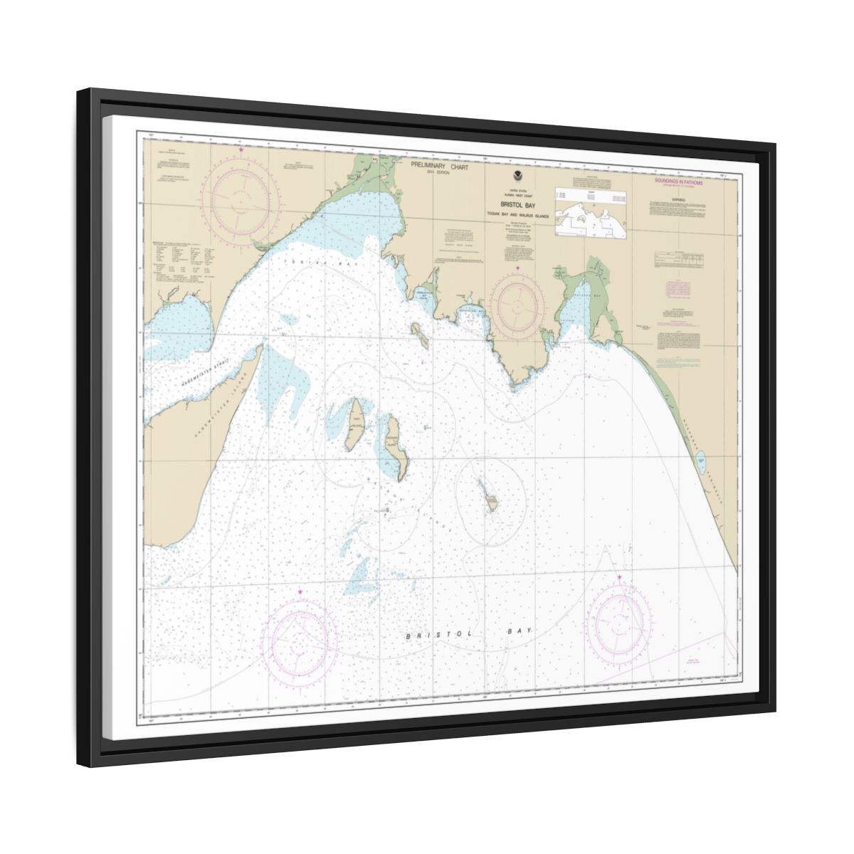 Chart 16315 Bristol Bay-Togiak Bay and Walrus Islands - NOAA Nautical Chart Floating Frame Canvas | 32" x 24" | 40" x 30" - Black side