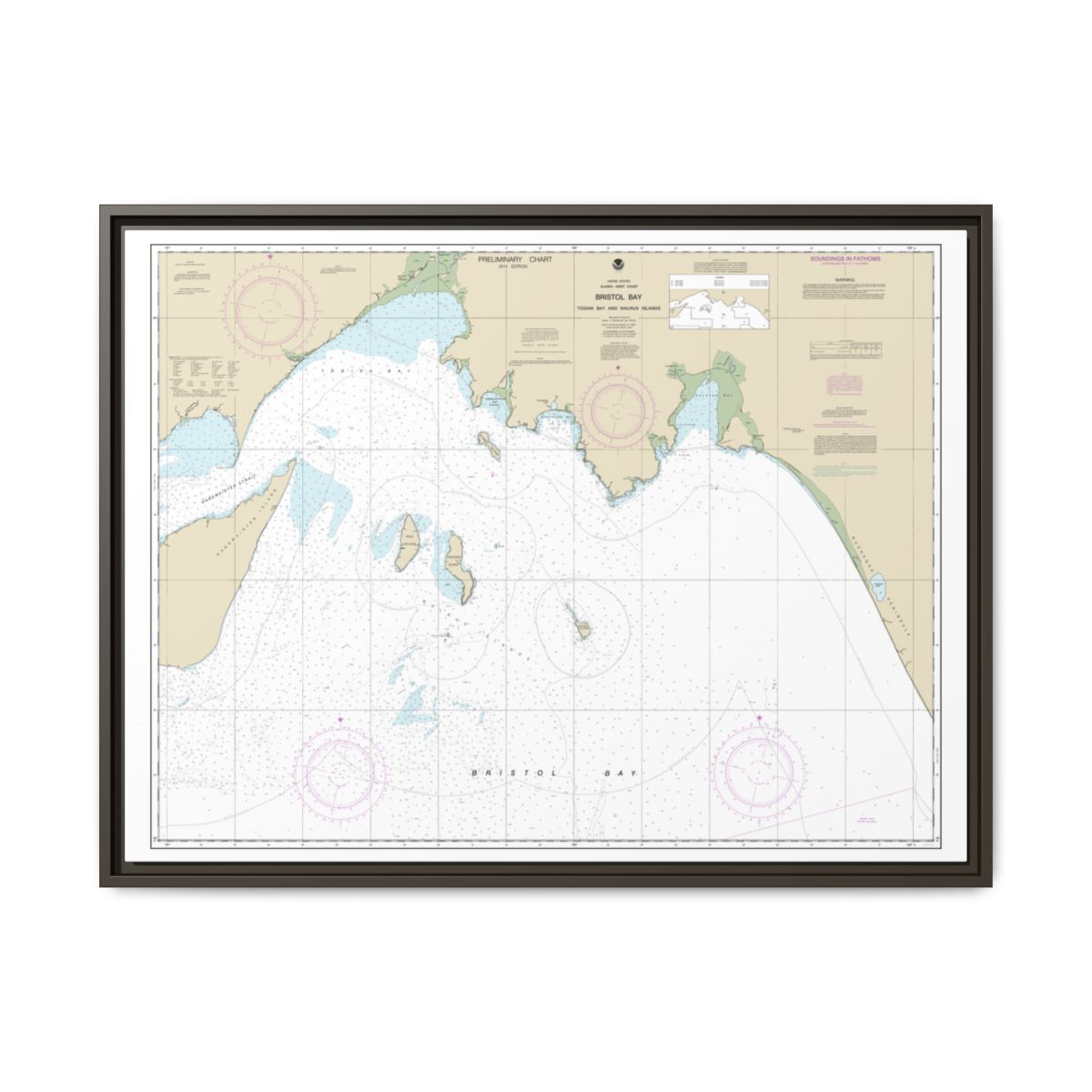 Chart 16315 Bristol Bay-Togiak Bay and Walrus Islands - NOAA Nautical Chart Floating Frame Canvas | 32" x 24" | 40" x 30" - Espresso front
