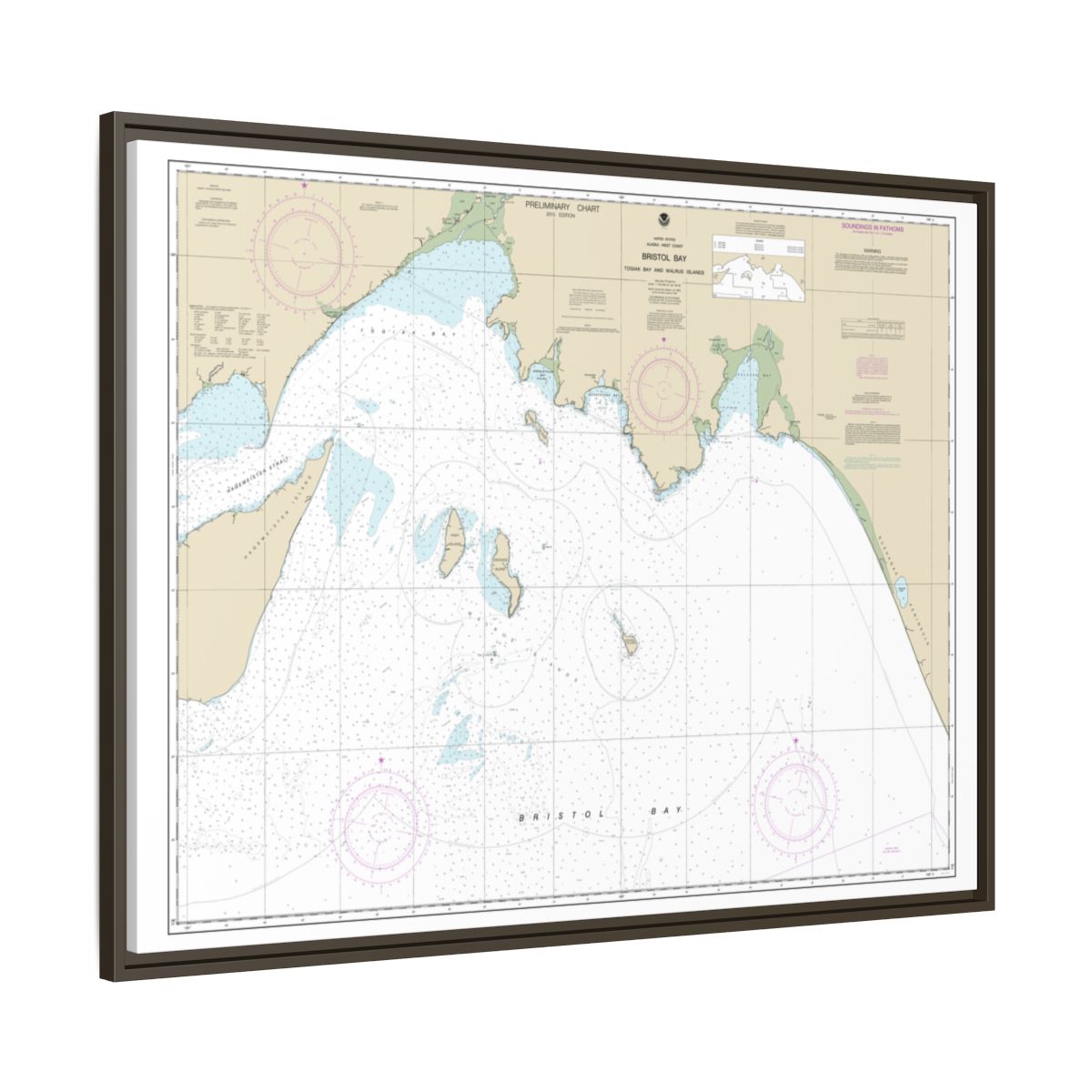 Chart 16315 Bristol Bay-Togiak Bay and Walrus Islands - NOAA Nautical Chart Floating Frame Canvas | 32" x 24" | 40" x 30" - Espresso side