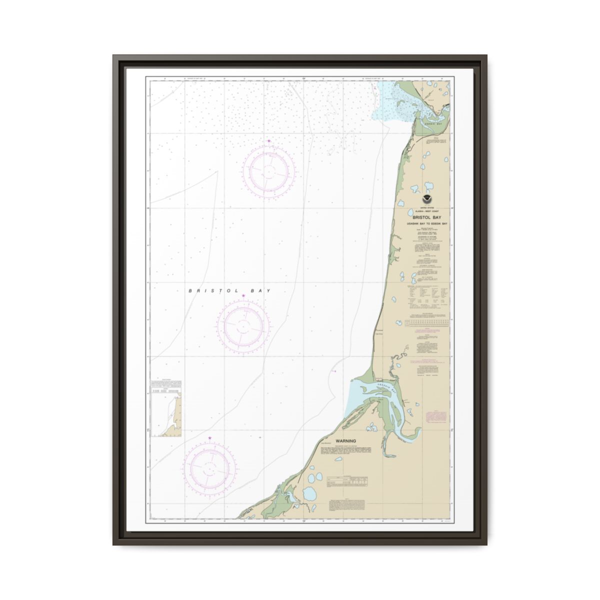 Chart 16338 Bristol Bay-Ugashik Bay to Egegik Bay - NOAA Nautical Chart Floating Frame Canvas | 24" x 32" | 30" x 40" - Espresso front