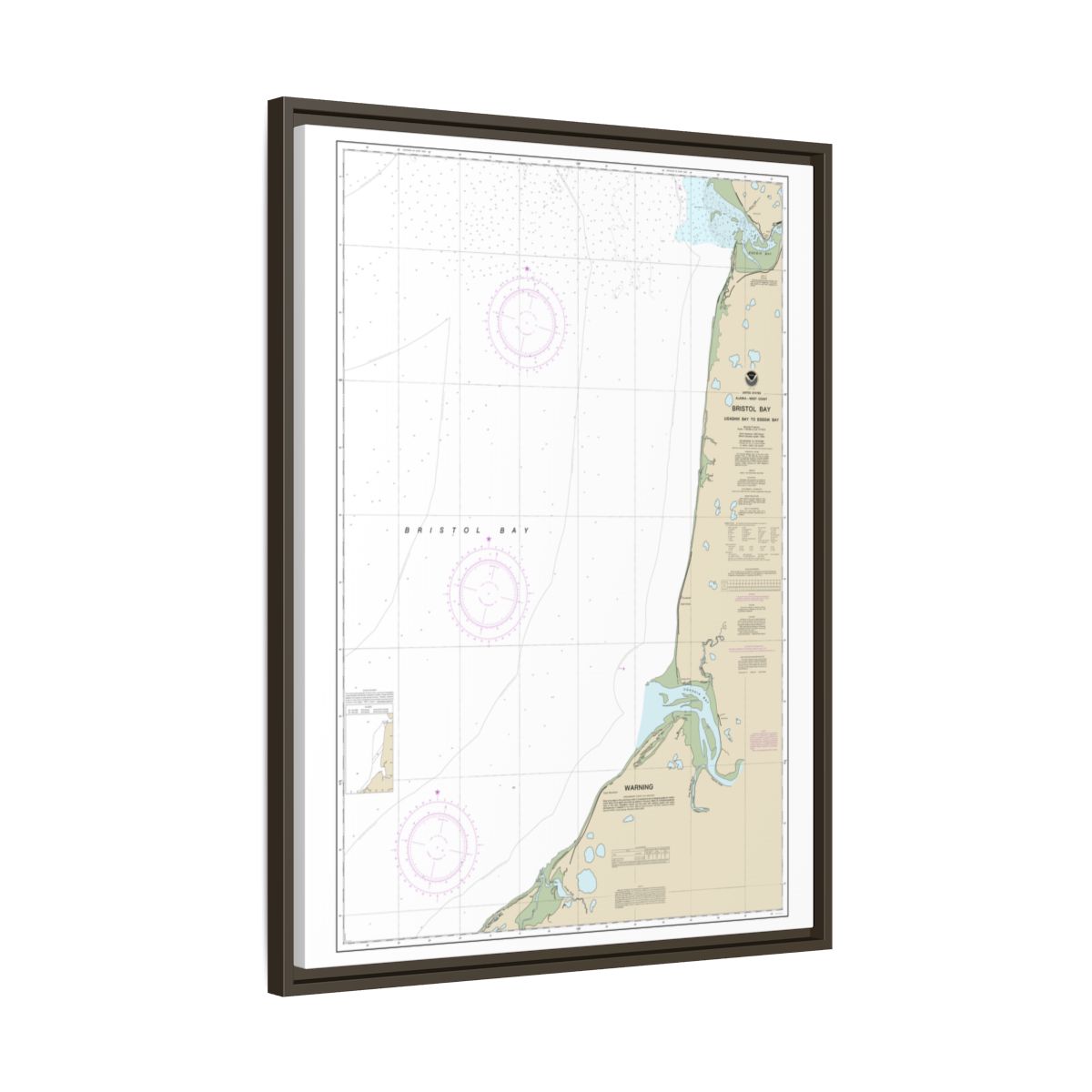 Chart 16338 Bristol Bay-Ugashik Bay to Egegik Bay - NOAA Nautical Chart Floating Frame Canvas | 24" x 32" | 30" x 40" - Espresso side