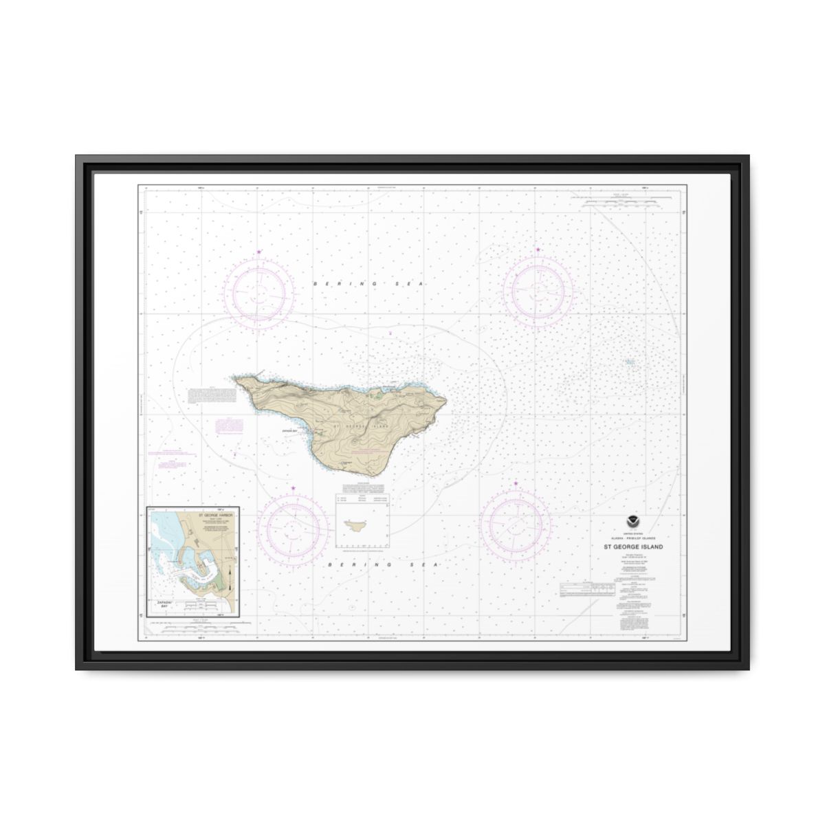 Chart 16381 St. George Island, Pribilof Islands - NOAA Nautical Chart Floating Frame Canvas | 32" x 24" | 40" x 30" - Black front