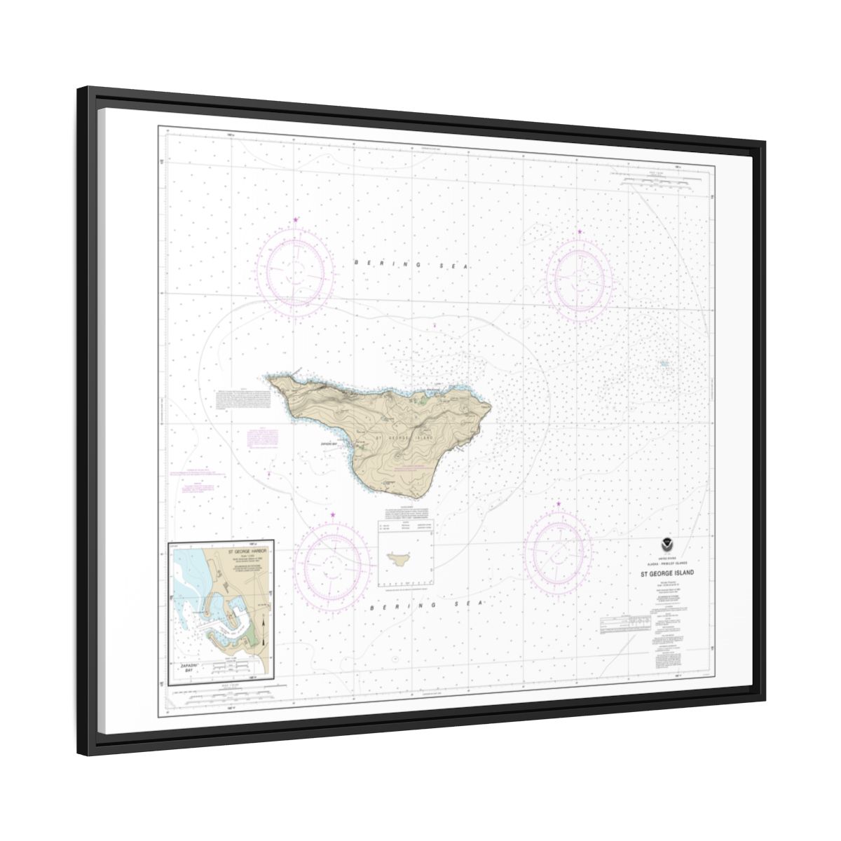 Chart 16381 St. George Island, Pribilof Islands - NOAA Nautical Chart Floating Frame Canvas | 32" x 24" | 40" x 30" - Black side