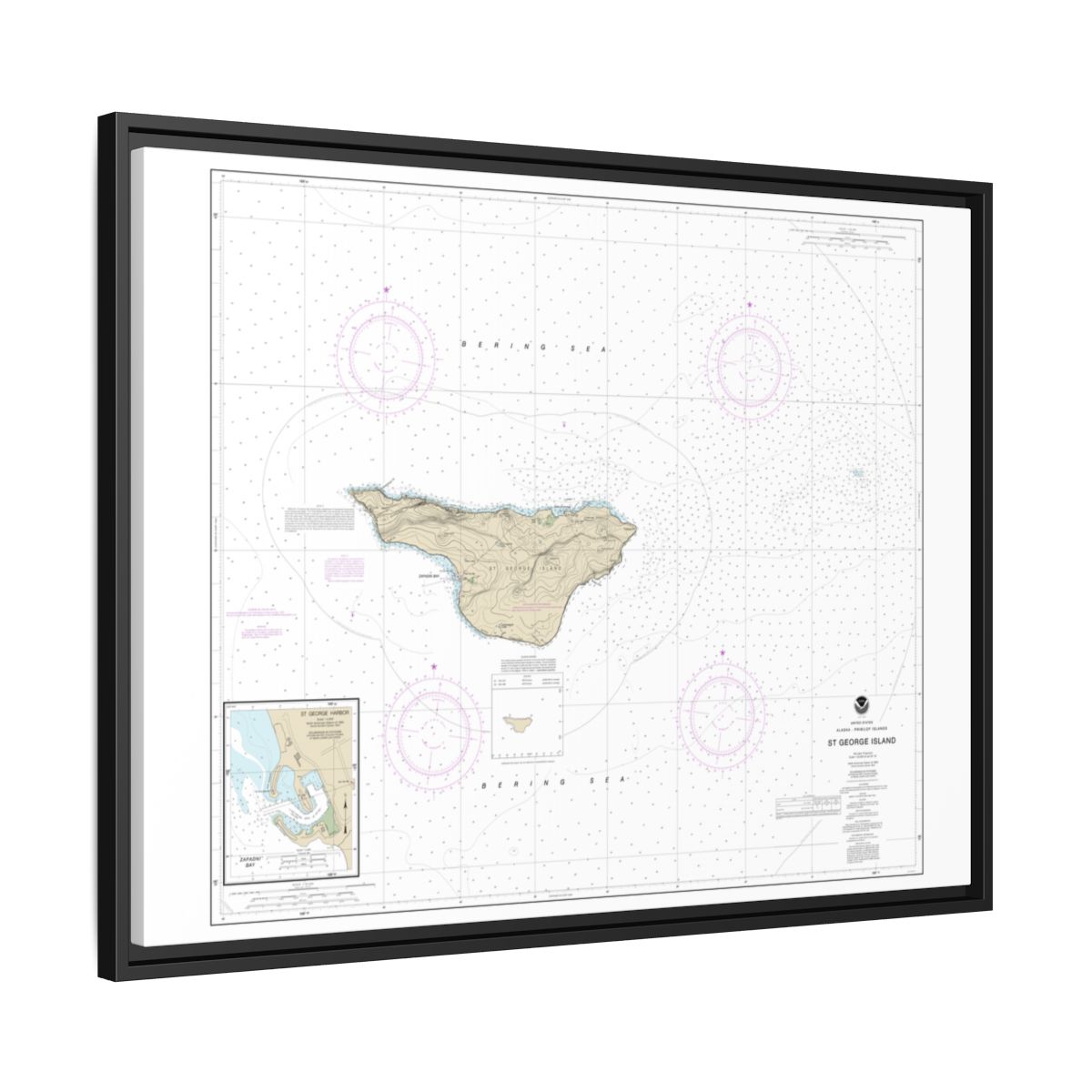 Chart 16381 St. George Island, Pribilof Islands - NOAA Nautical Chart Floating Frame Canvas | 32" x 24" | 40" x 30" - Black side