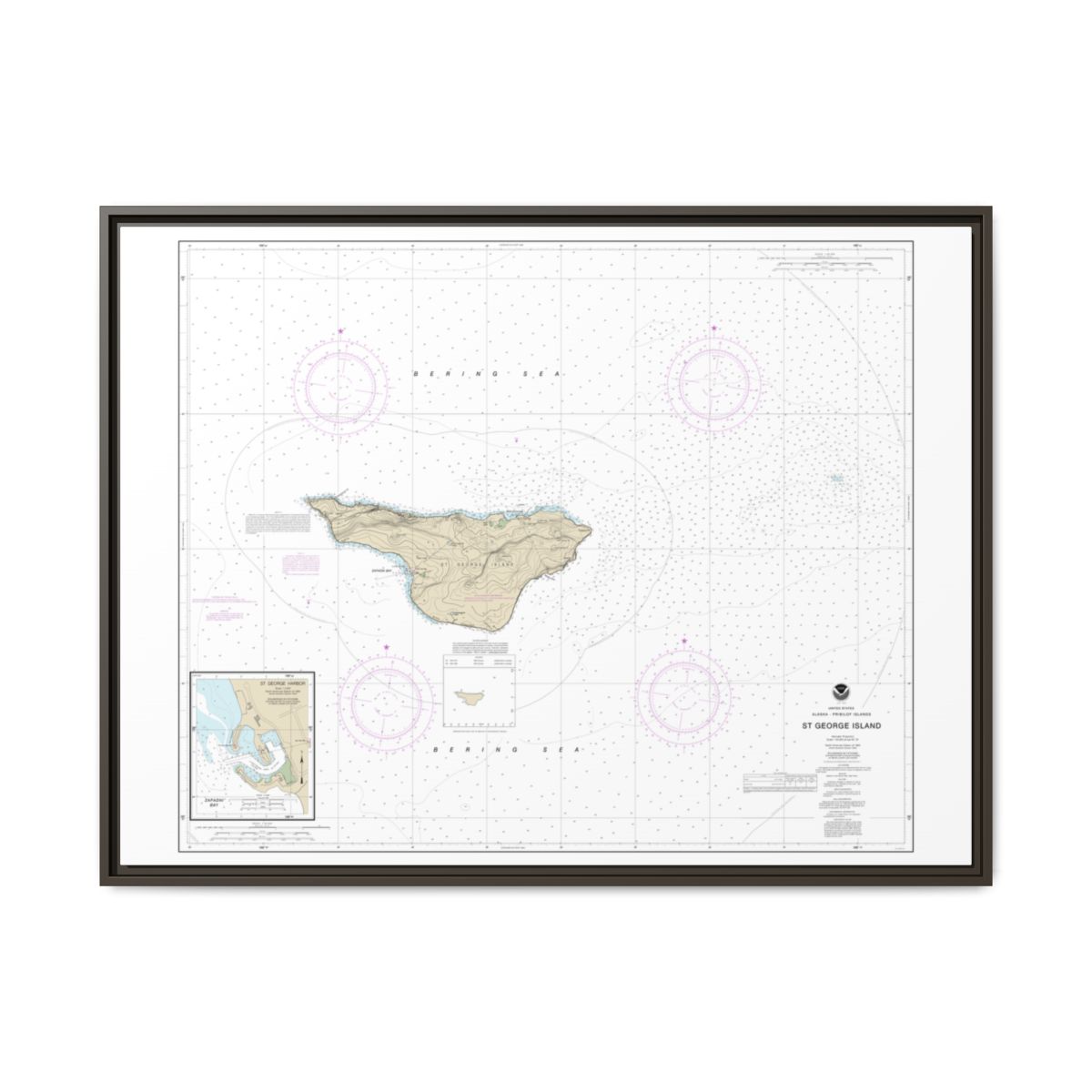 Chart 16381 St. George Island, Pribilof Islands - NOAA Nautical Chart Floating Frame Canvas | 32" x 24" | 40" x 30" - Espresso front