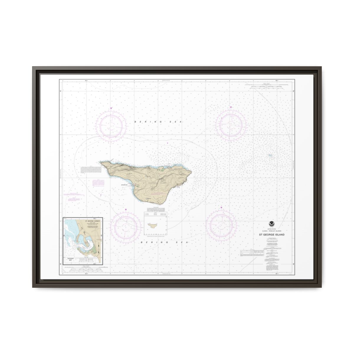 Chart 16381 St. George Island, Pribilof Islands - NOAA Nautical Chart Floating Frame Canvas | 32" x 24" | 40" x 30" - Espresso front