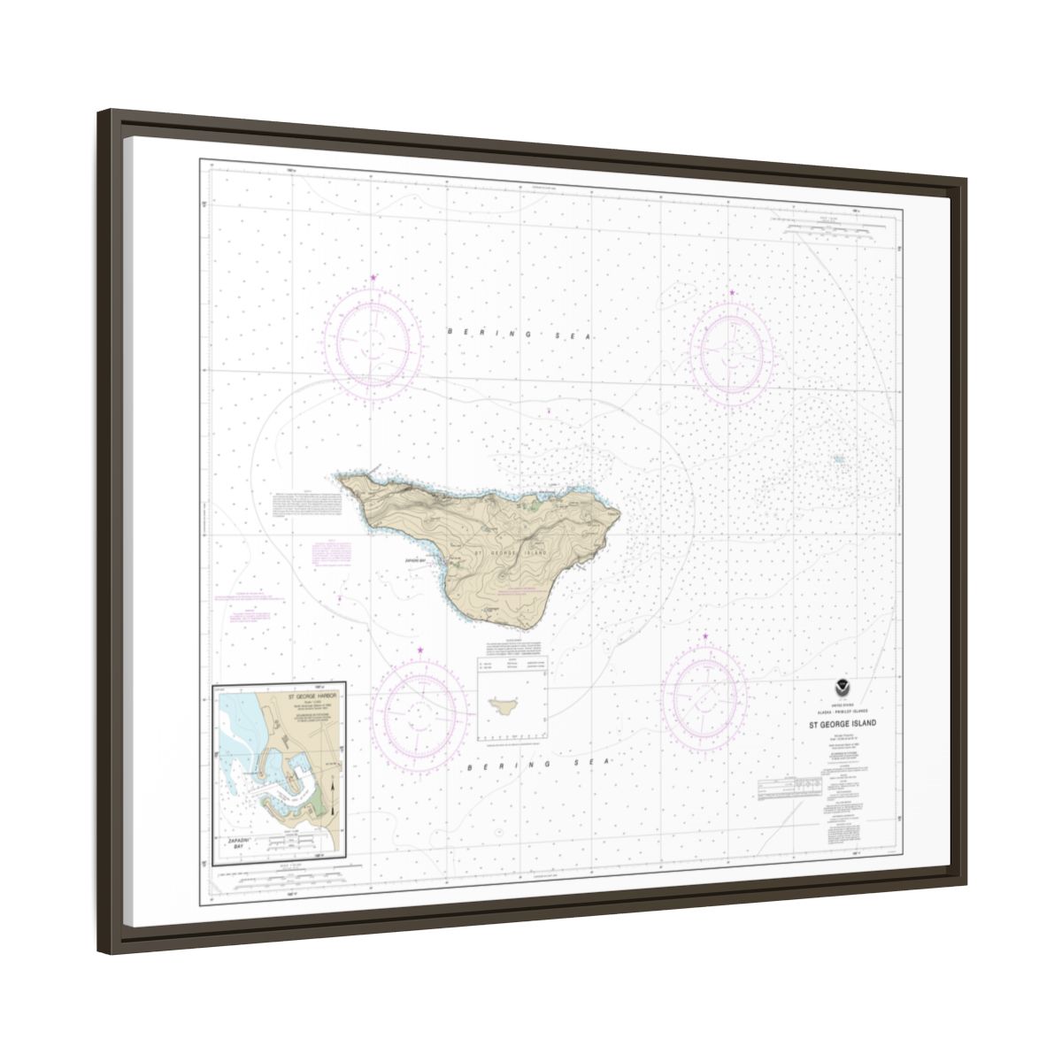 Chart 16381 St. George Island, Pribilof Islands - NOAA Nautical Chart Floating Frame Canvas | 32" x 24" | 40" x 30" - Espresso side