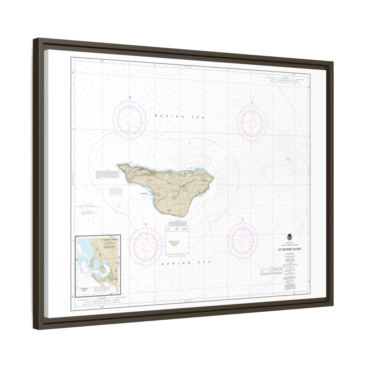 Chart 16381 St. George Island, Pribilof Islands - NOAA Nautical Chart Floating Frame Canvas | 32" x 24" | 40" x 30" - Espresso side