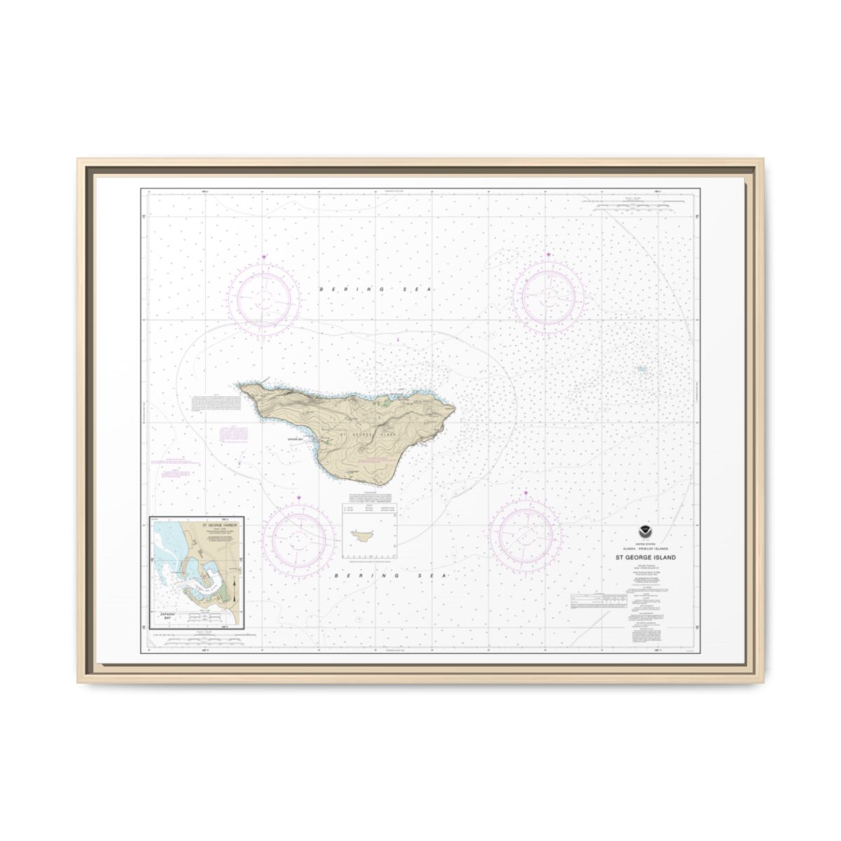 Chart 16381 St. George Island, Pribilof Islands - NOAA Nautical Chart Floating Frame Canvas | 32" x 24" | 40" x 30" - Natural front