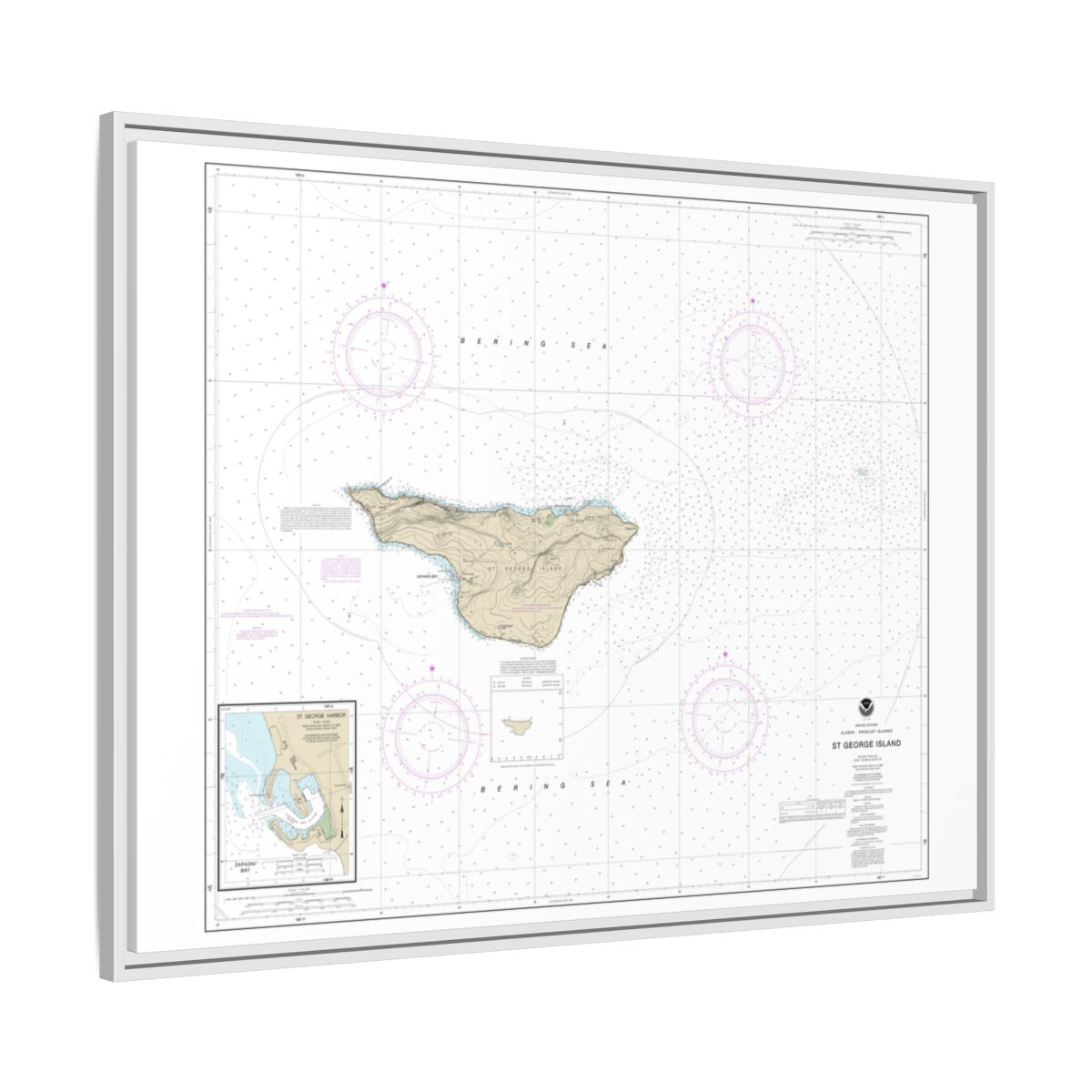 Chart 16381 St. George Island, Pribilof Islands - NOAA Nautical Chart Floating Frame Canvas | 32" x 24" | 40" x 30" - White side