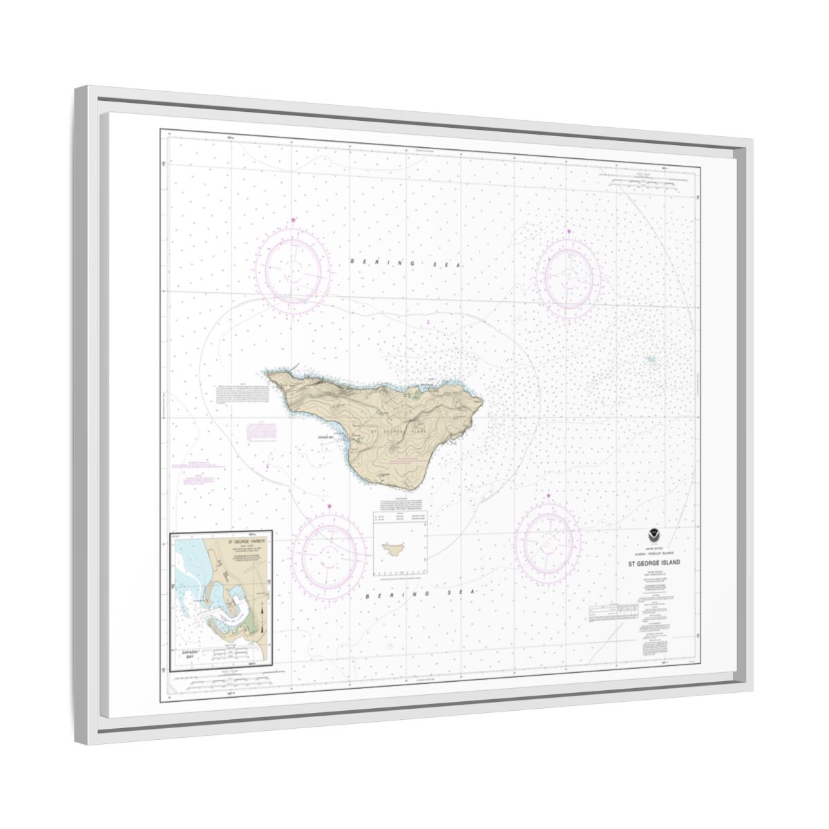 Chart 16381 St. George Island, Pribilof Islands - NOAA Nautical Chart Floating Frame Canvas | 32" x 24" | 40" x 30" - White side