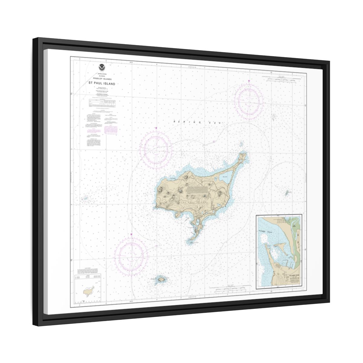 Chart 16382 St. Paul Island, Pribilof Islands - NOAA Nautical Chart Floating Frame Canvas | 32" x 24" | 40" x 30" - Black side