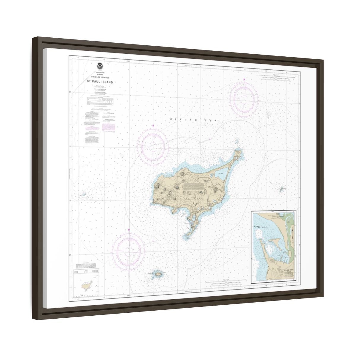 Chart 16382 St. Paul Island, Pribilof Islands - NOAA Nautical Chart Floating Frame Canvas | 32" x 24" | 40" x 30" - Espresso side
