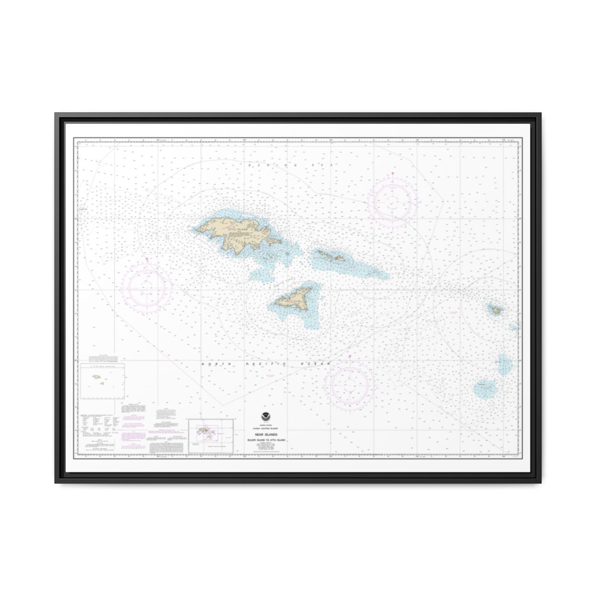 Chart 16420 Near Islands Buldir Island to Attu Island - NOAA Nautical Chart Floating Frame Canvas | 32" x 24" | 40" x 30" - Black front