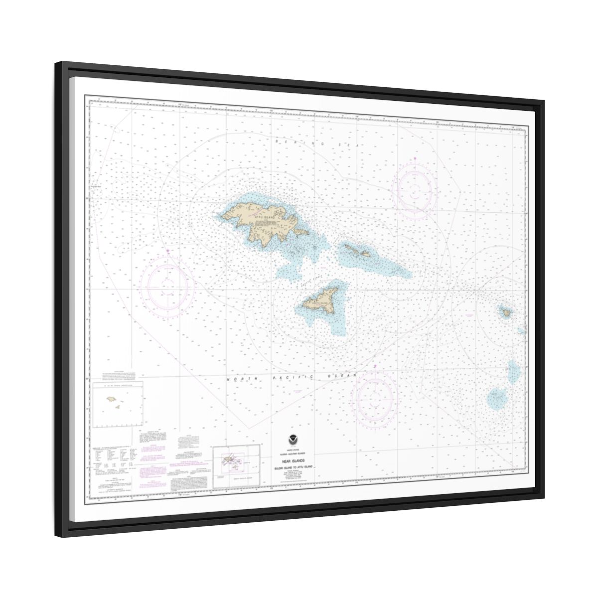 Chart 16420 Near Islands Buldir Island to Attu Island - NOAA Nautical Chart Floating Frame Canvas | 32" x 24" | 40" x 30" - Black side