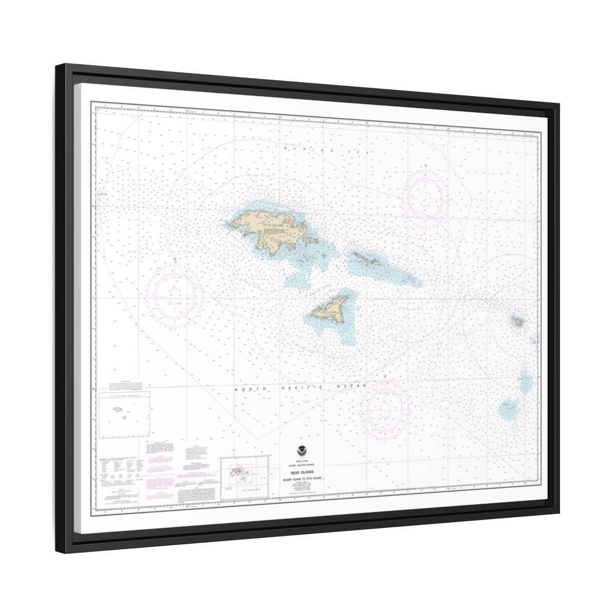 Chart 16420 Near Islands Buldir Island to Attu Island - NOAA Nautical Chart Floating Frame Canvas | 32" x 24" | 40" x 30" - Black side