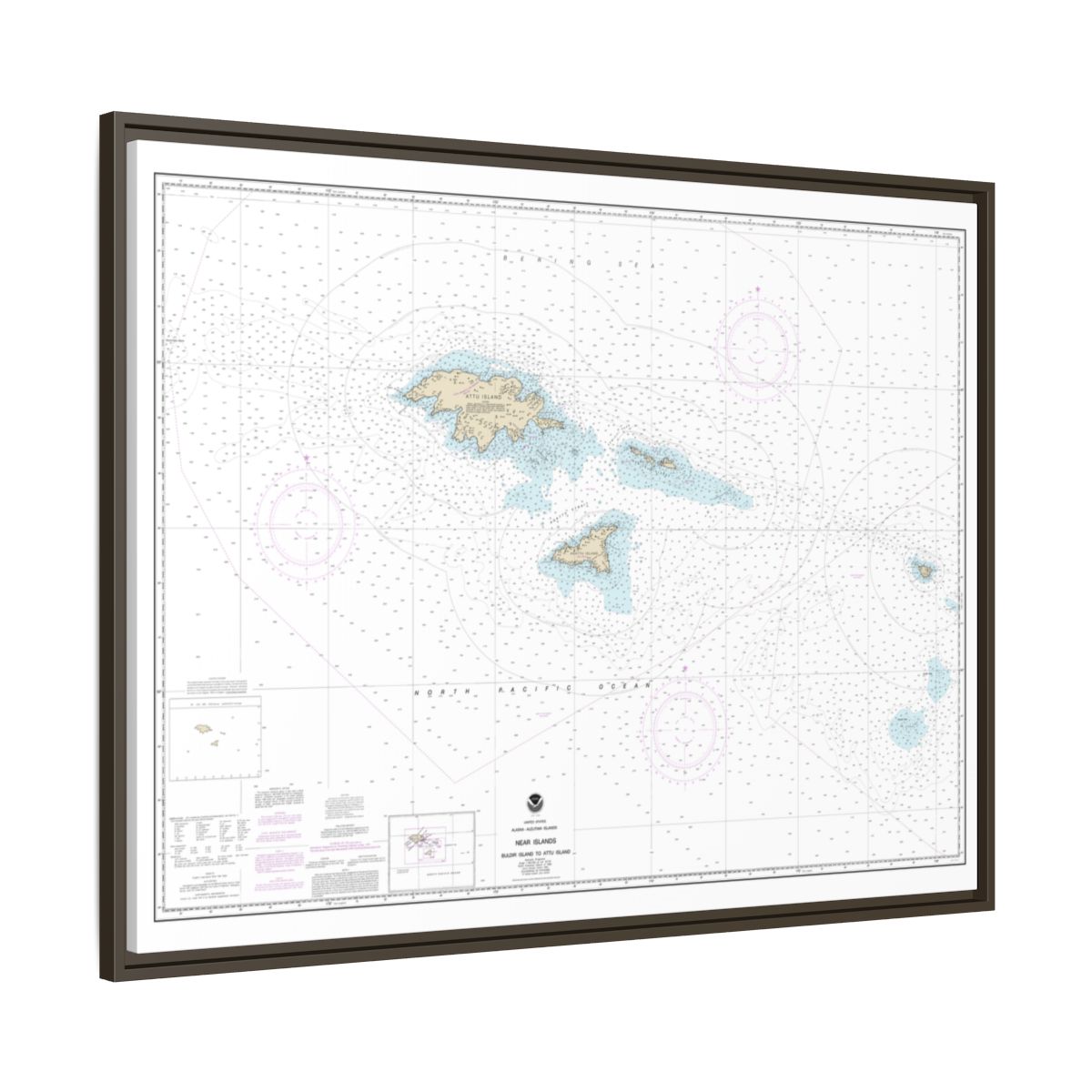 Chart 16420 Near Islands Buldir Island to Attu Island - NOAA Nautical Chart Floating Frame Canvas | 32" x 24" | 40" x 30" - Espresso side