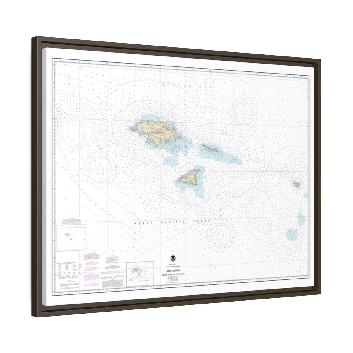 Chart 16420 Near Islands Buldir Island to Attu Island - NOAA Nautical Chart Floating Frame Canvas | 32" x 24" | 40" x 30" - Espresso side