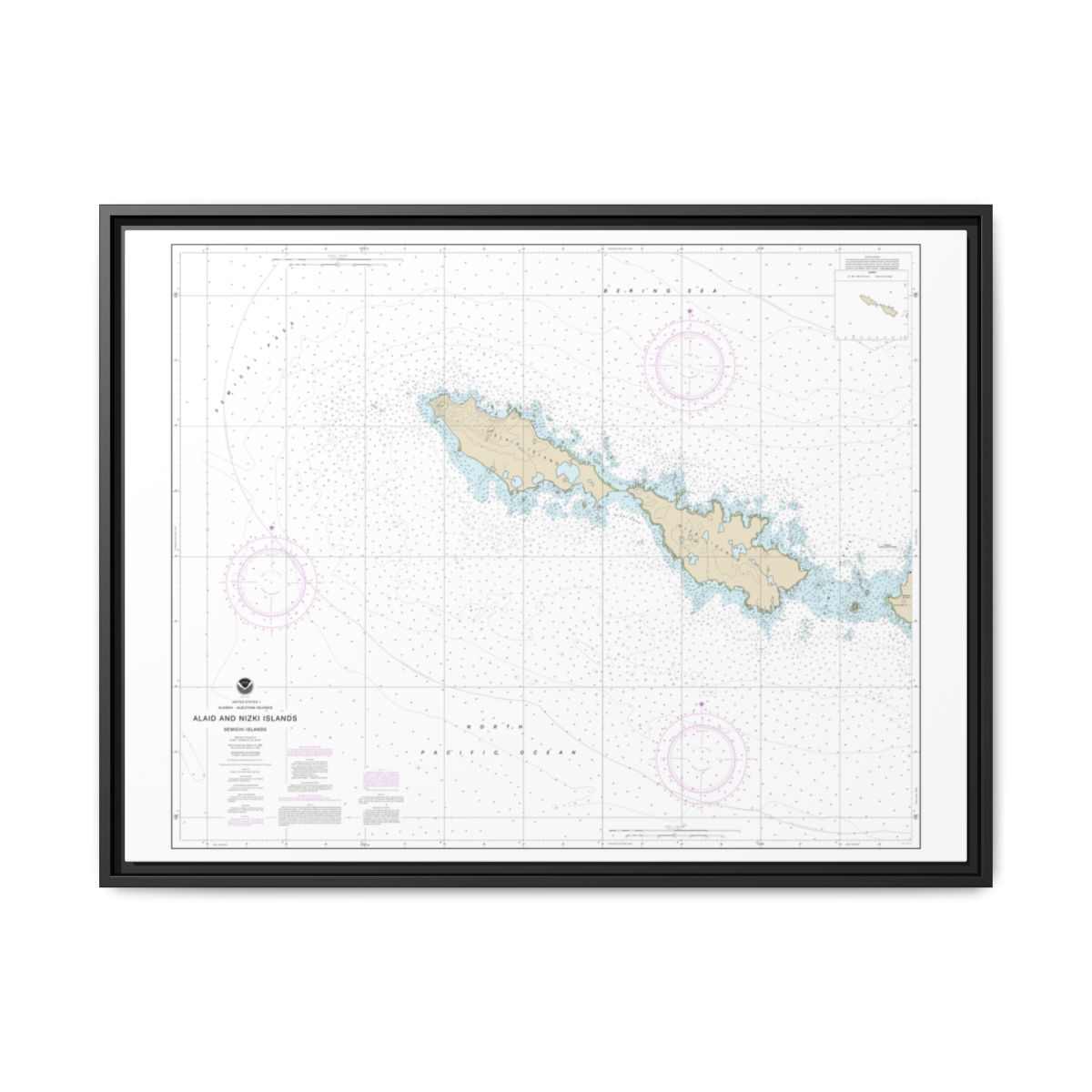 Chart 16435 Semichi Islands Alaid and Nizki Islands - NOAA Nautical Chart Floating Frame Canvas | 32" x 24" | 40" x 30" - Black front