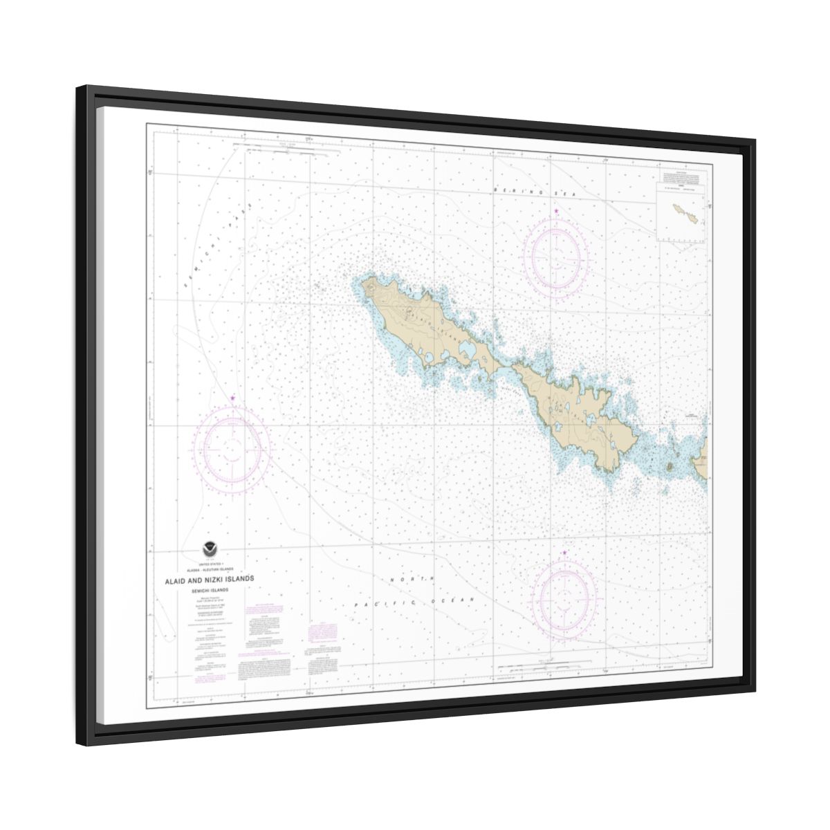 Chart 16435 Semichi Islands Alaid and Nizki Islands - NOAA Nautical Chart Floating Frame Canvas | 32" x 24" | 40" x 30" - Black side