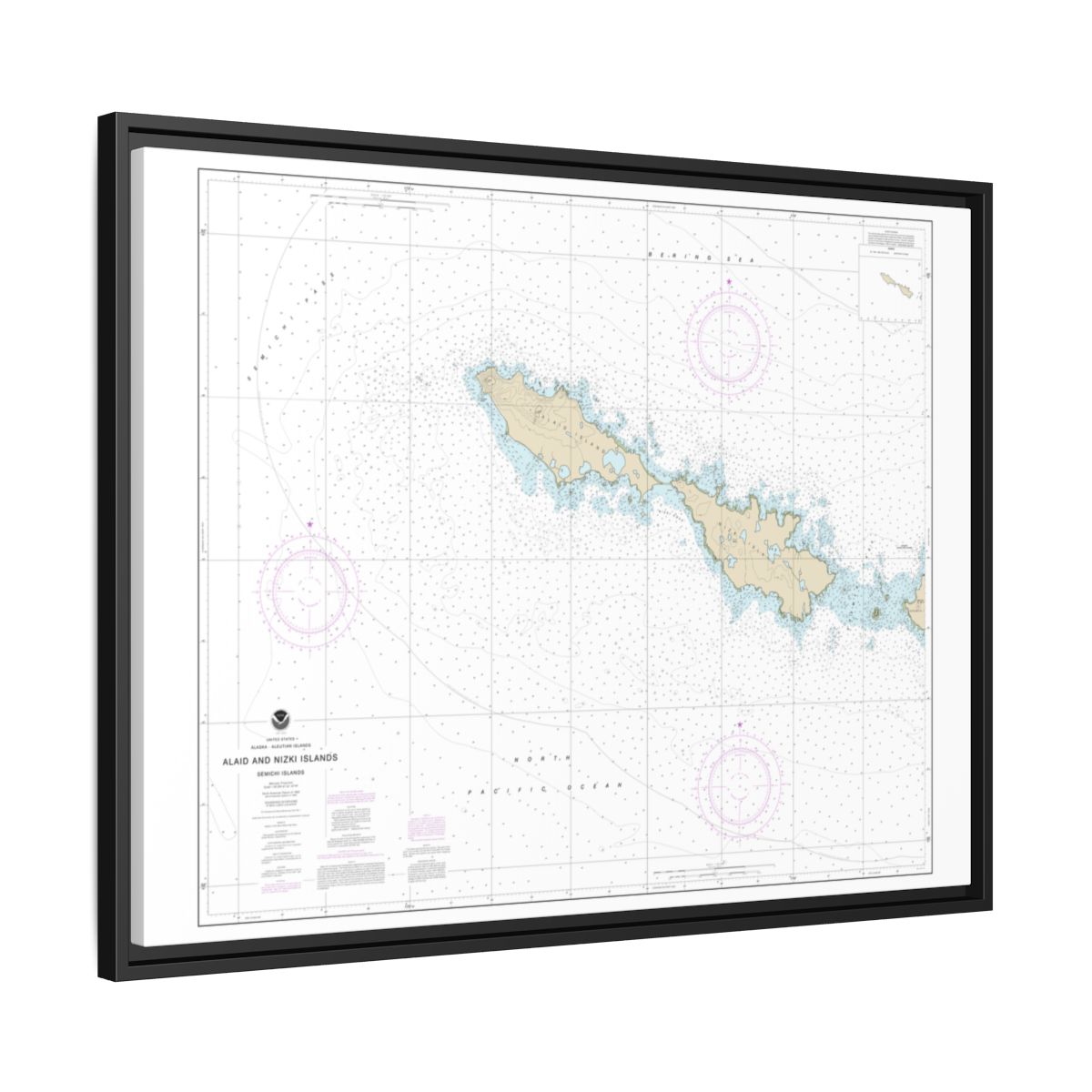 Chart 16435 Semichi Islands Alaid and Nizki Islands - NOAA Nautical Chart Floating Frame Canvas | 32" x 24" | 40" x 30" - Black side