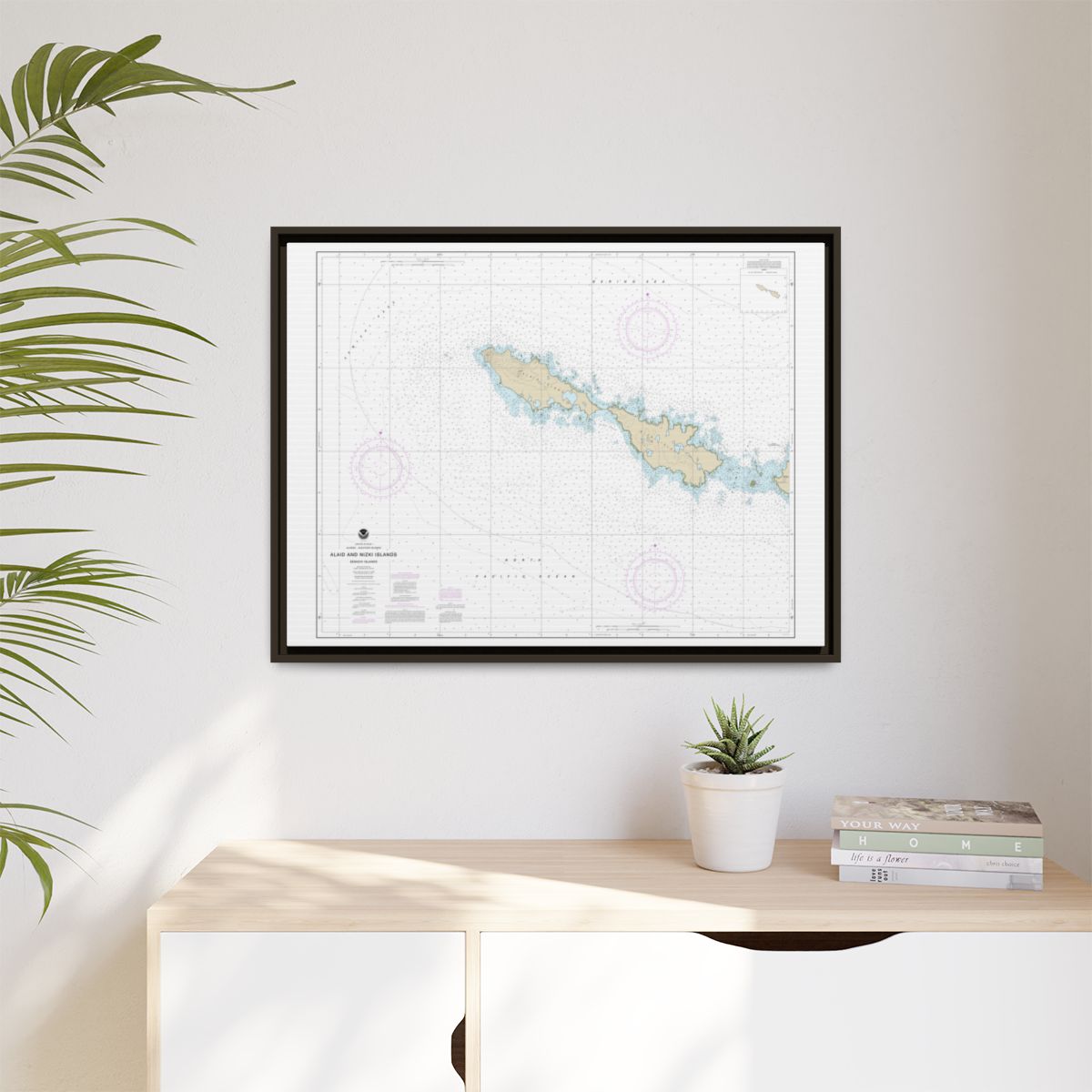 Chart 16435 Semichi Islands Alaid and Nizki Islands - NOAA Nautical Chart Floating Frame Canvas | 32" x 24" | 40" x 30" - Espresso context-1