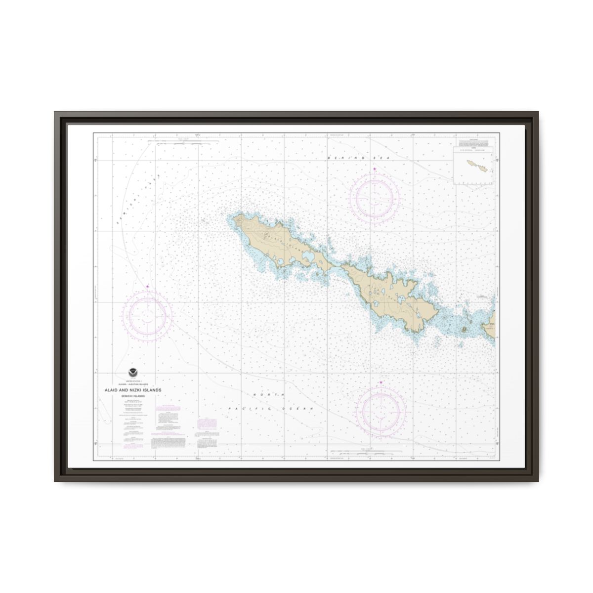 Chart 16435 Semichi Islands Alaid and Nizki Islands - NOAA Nautical Chart Floating Frame Canvas | 32" x 24" | 40" x 30" - Espresso front