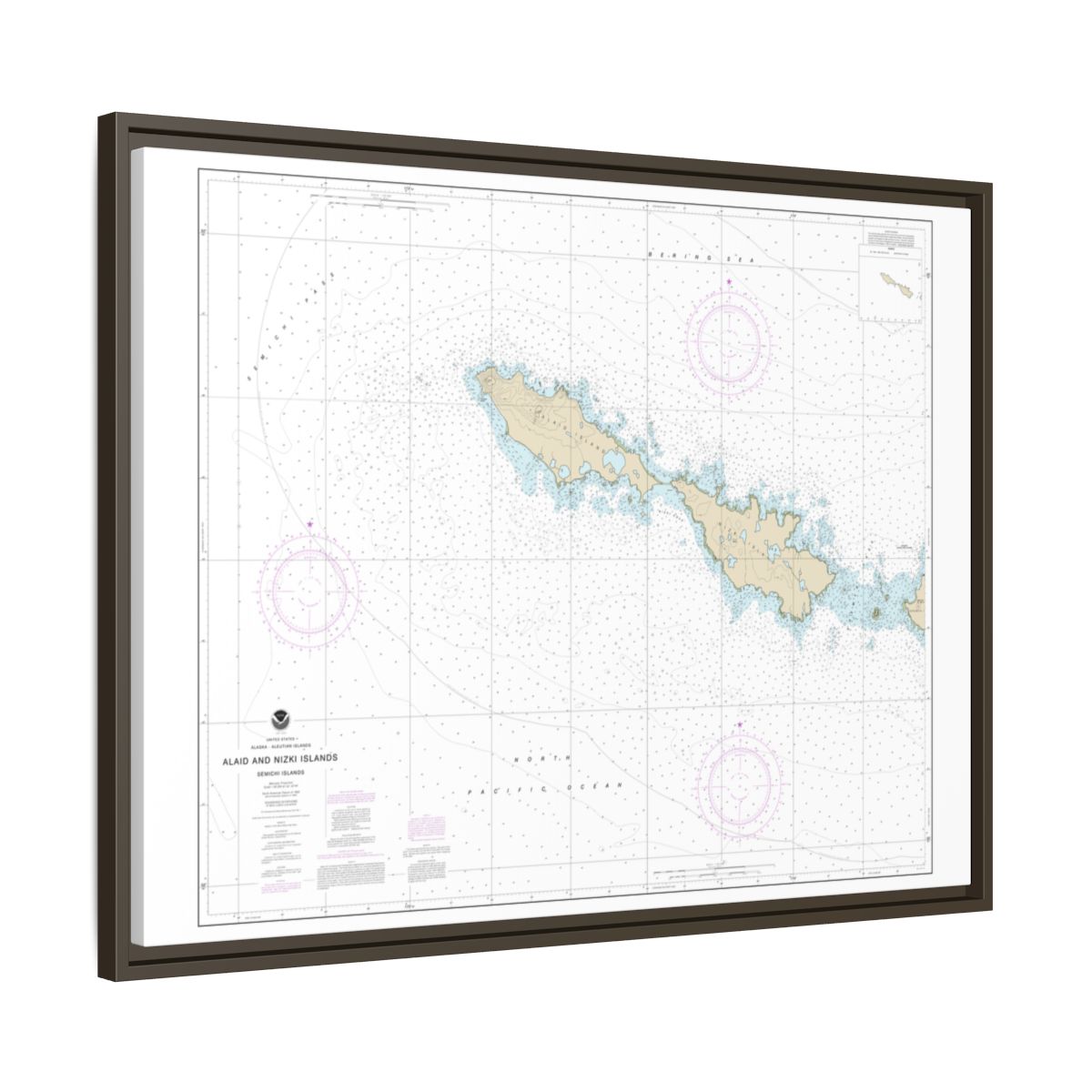 Chart 16435 Semichi Islands Alaid and Nizki Islands - NOAA Nautical Chart Floating Frame Canvas | 32" x 24" | 40" x 30" - Espresso side